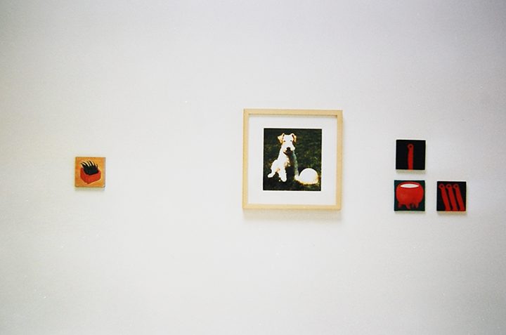 Wandelungen, Ausstellungsansicht 4